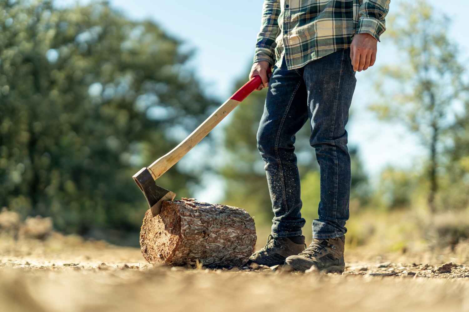 Dead Tree Removal in Tickfaw, LA